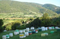 Τα μελισσοκομεία μας στον Ολυμπο 2